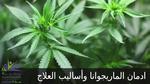 رحلة كشف الأمراض النفسية: خطوات وأساليب